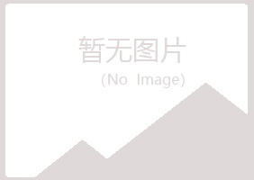 宁陕县夏岚航空航天有限公司